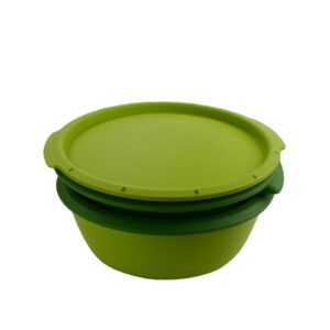 SMART STEAMER VERDE
