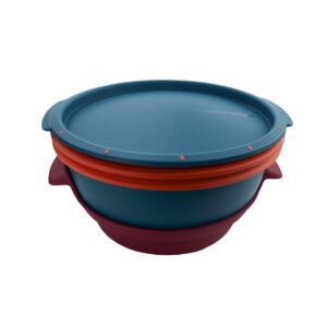 SMART STEAMER MULTICOLOR